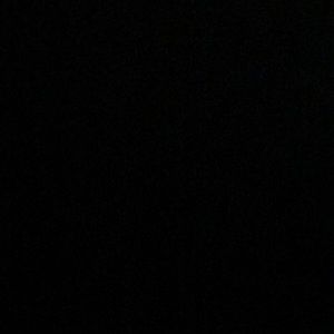 Meet your Posher, Lily